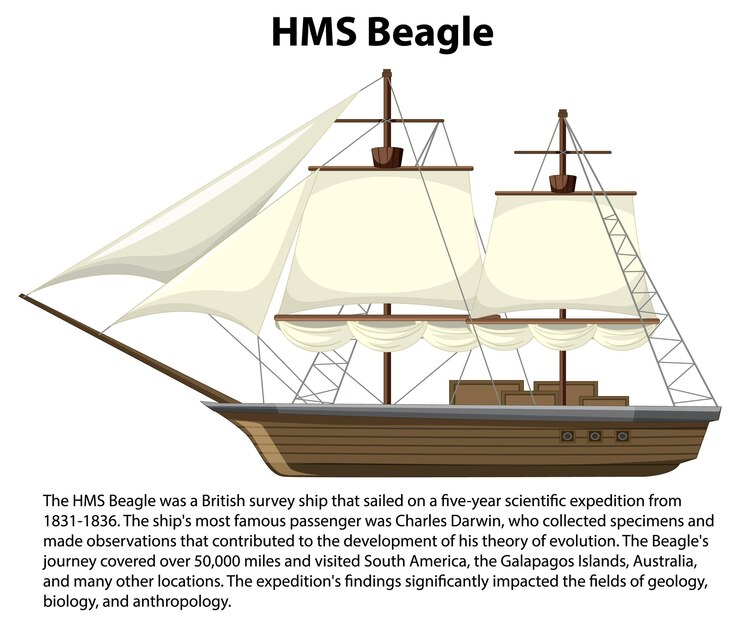 Free Vector hms beagle ship informative poster