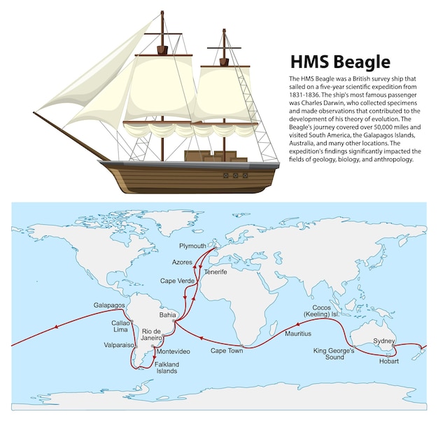 Vettore gratuito nave hms beagle e mappa charles darwin