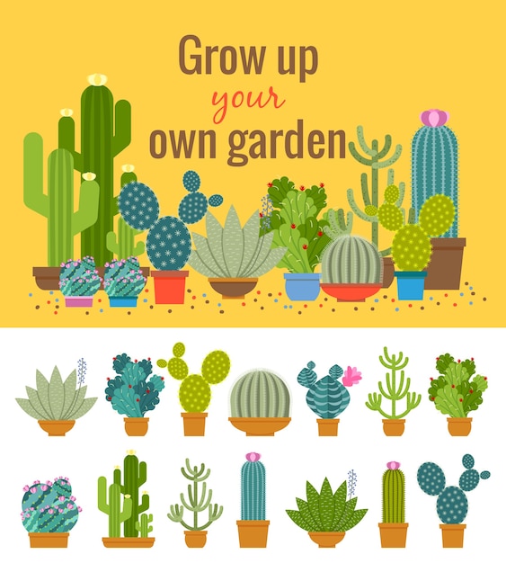 Free vector home cactus garden illustration