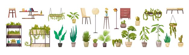 Домашние декоративные лиственные зеленые растения в горшках и плантаторах горизонтальный набор изолированных векторных иллюстраций