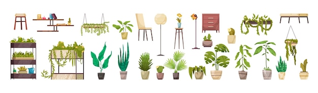 鉢やプランターの家の装飾的な落葉性緑の植物水平セット分離ベクトルイラスト