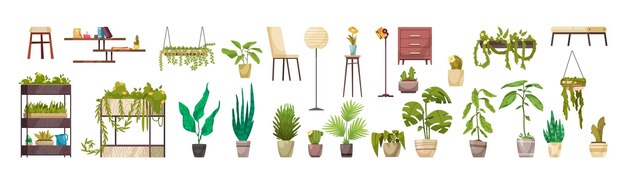 Home decorative deciduous green plants in pots and planters horizontal set isolated vector illustration