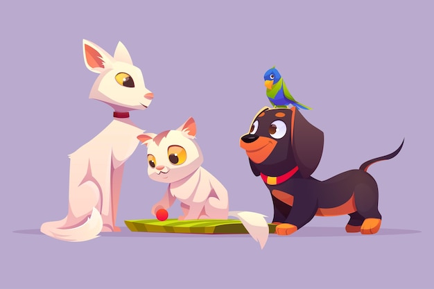 Home pets white cat, cute kitten play with ball parrot sitting\
on dachshund dog head feline, bird and puppy cartoon characters.\
petcare, adoption and love to animals concept, vector\
illustration