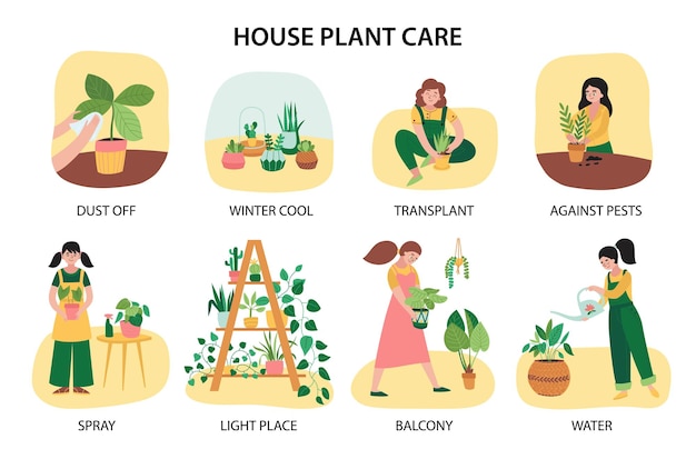 Home Plants Composition Set