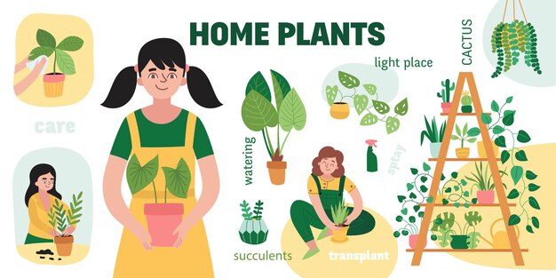 Инфографический набор домашних растений с осторожностью, суккуленты, полив, пересадка, свет, место, кактус и другие описания, векторная иллюстрация