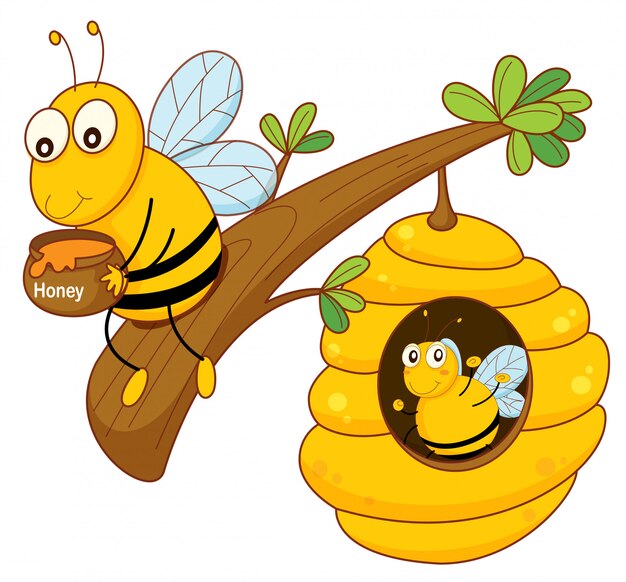 Honey bee and comb