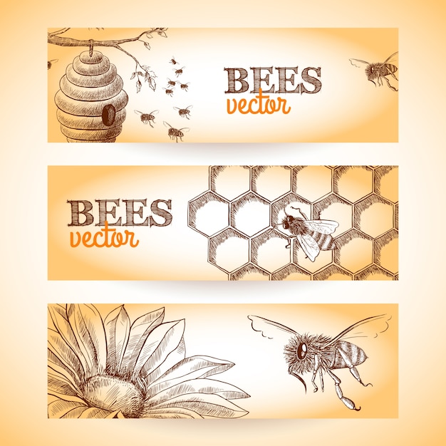 Free vector honey bee hive comb and flower sketch banners set isolated vector illustration.