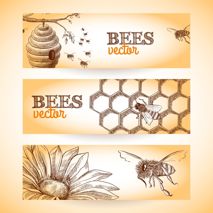 Free Vector honey bee hive comb and flower sketch banners set isolated vector illustration.