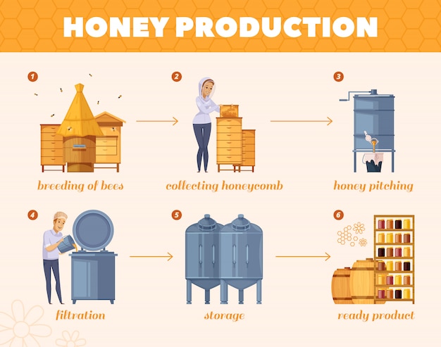 Honey production process cartoon flowchart