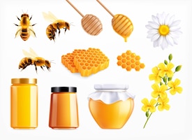 Honey realistic set with isolated icons of spoons comb and flowers with bees and full jars vector illustration