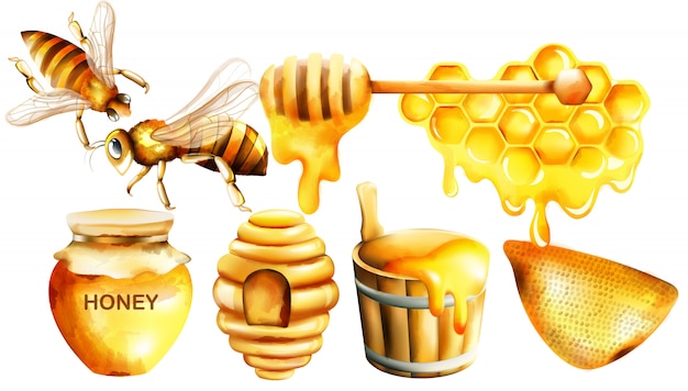 Honey watercolor set with jar, dipper, bees, honeycomb, house and bucket