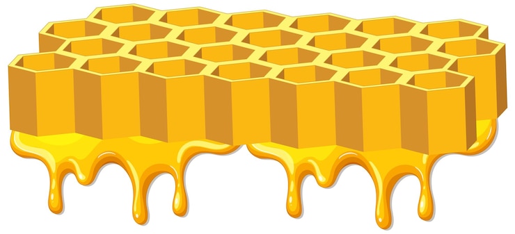 Free Vector honeycomb with dripping honey illustration