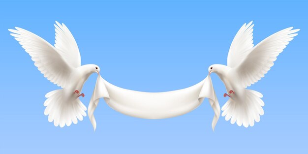 鳩 画像 無料のベクター ストックフォト Psd