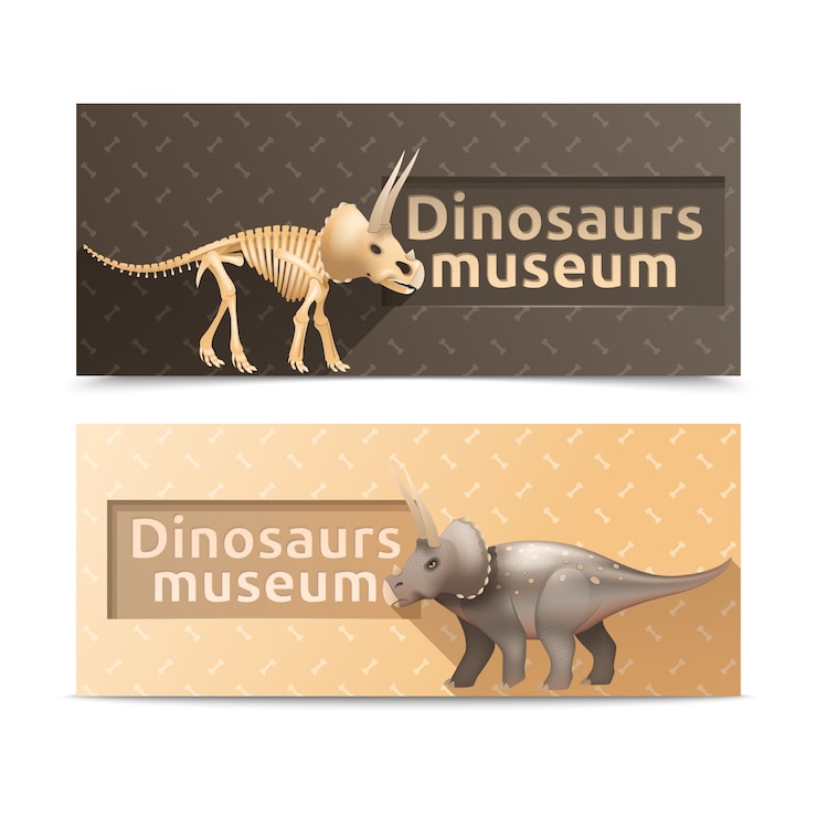 Free Vector horizontal triceratops dinosaurs museum banners and plates