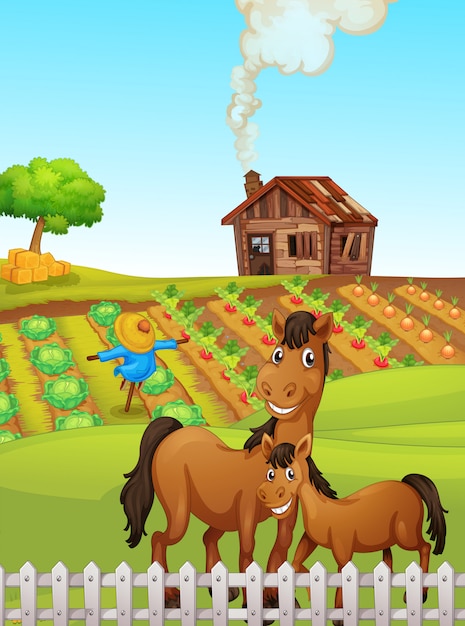 Horse at the farmland illustration