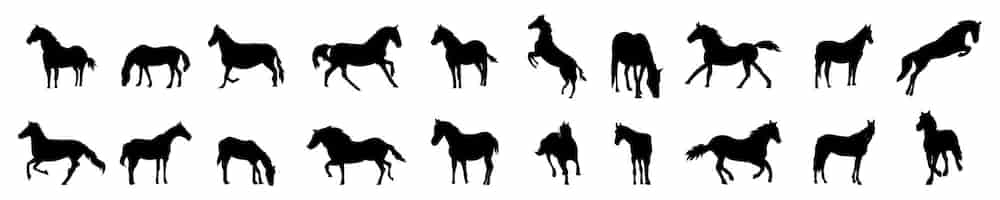 Free vector horse silhouette mustang silhouettes pack