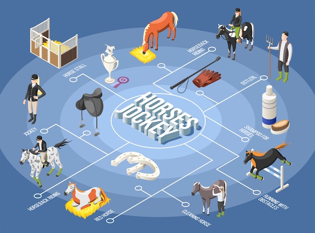 Free vector horses and jockey isometric flowchart