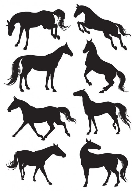 スタッド馬セット カラフルな品種レーススタリオン立って実行しています 畜産 馬の繁殖 ビジネス ペットの分離フラットベクトルイラスト 無料のベクター