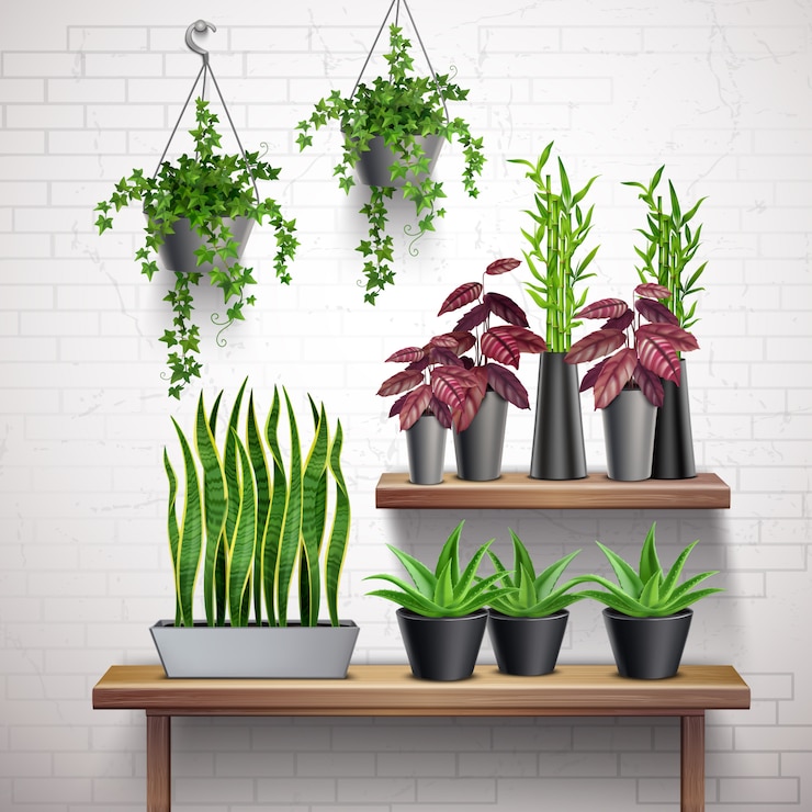 Free Vector house plants realistic white brick wall interior with hanging ivy pots succulents on side table