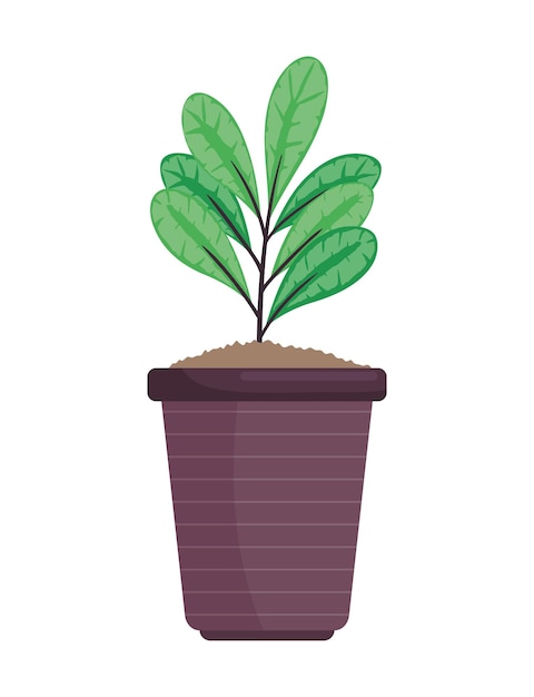 houseplant in brown pot nature icon