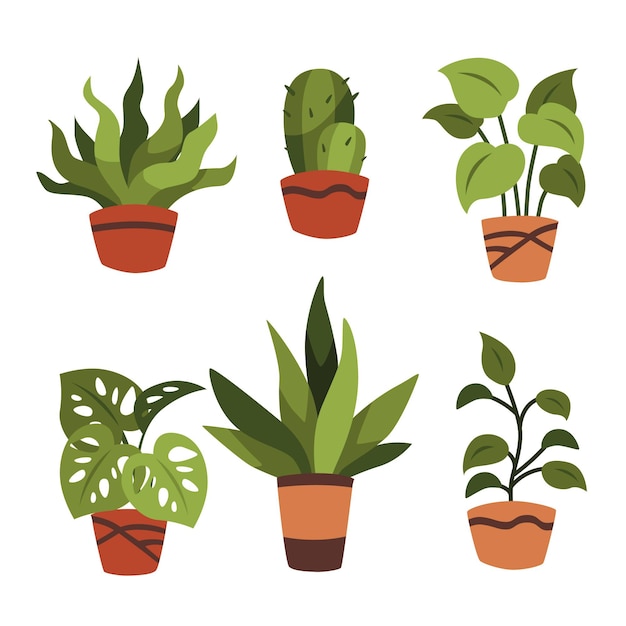 Houseplant collection illustration