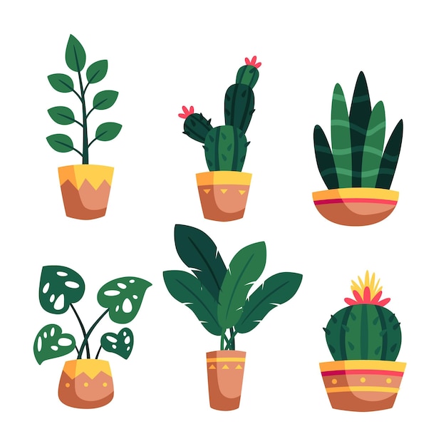 Illustrazione di raccolta di piante d'appartamento
