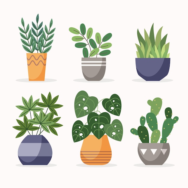 Free vector houseplant collection illustration