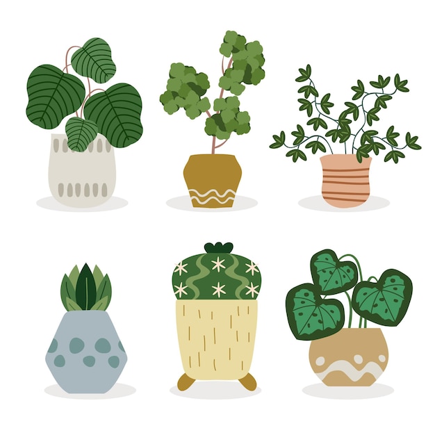 Free vector houseplant collection illustration