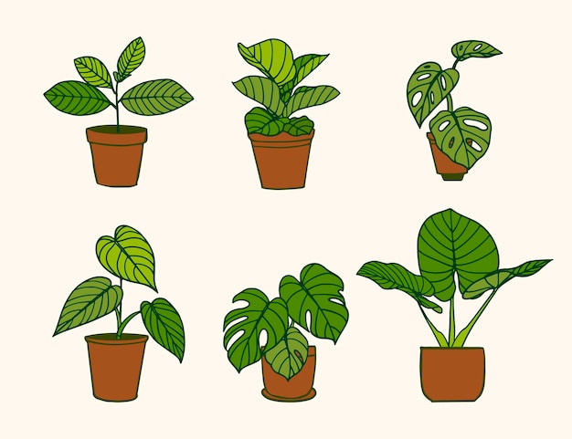Бесплатное векторное изображение Иллюстрация коллекции комнатных растений