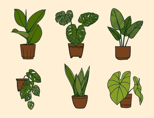Иллюстрация коллекции комнатных растений