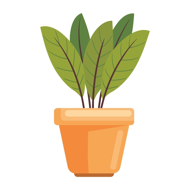 मुफ़्त वेक्टर houseplant in pot nature icon