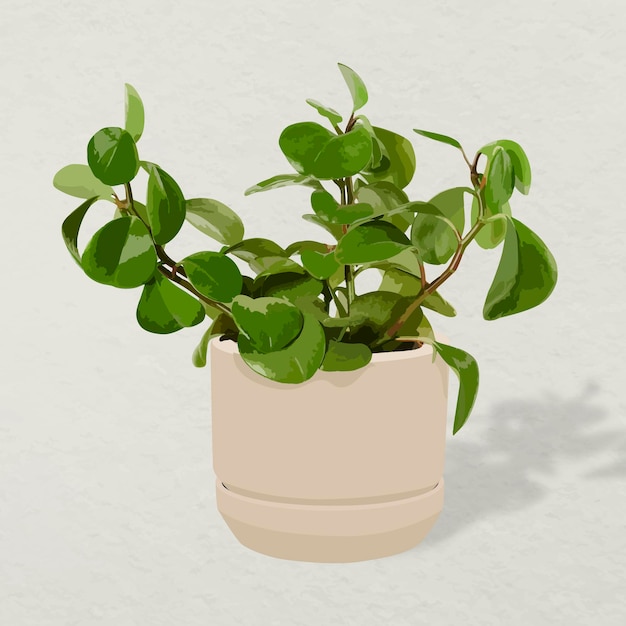 Бесплатное векторное изображение Комнатное растение вектор, детские каучуковые растения в горшках украшение домашнего интерьера