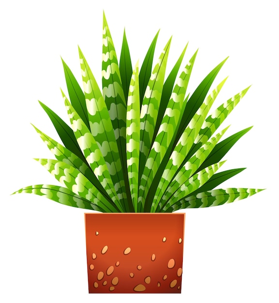 Free vector a houseplant with a pot