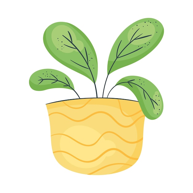 Houseplant in yellow pot