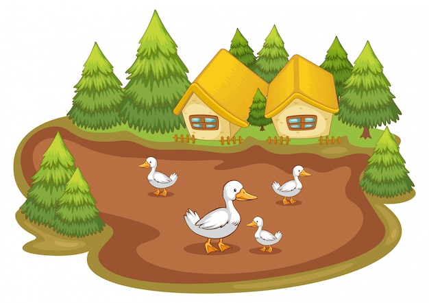 Houses with ducks on white background