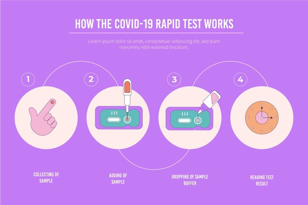 Free vector how the covid-19 rapid test works