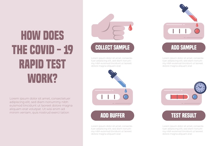 Free Vector how the covid-19 rapid test works