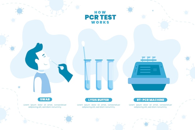 How pcr test works illustrated