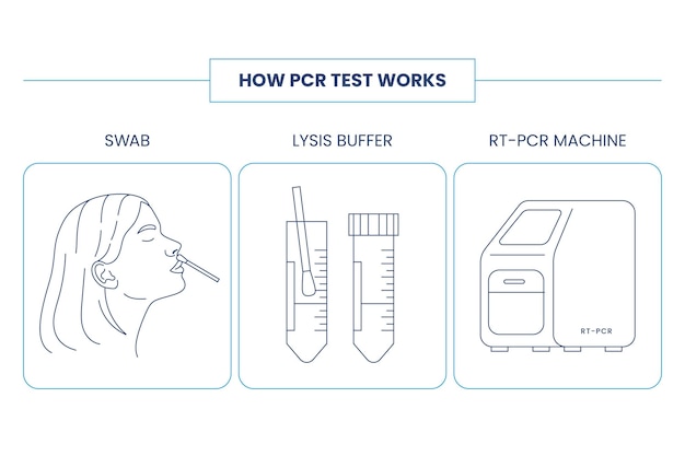 Бесплатное векторное изображение Как работает тест pcr