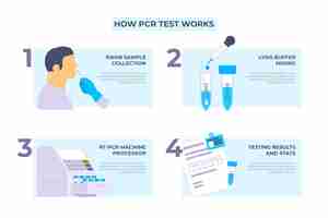 Free vector how pcr test works