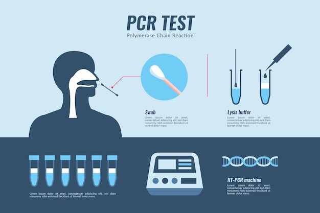 Free vector how polymerase chain reaction test work