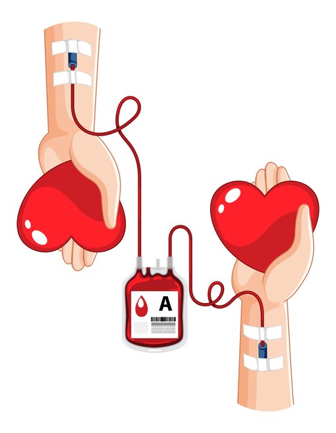 Human blood donate on white background