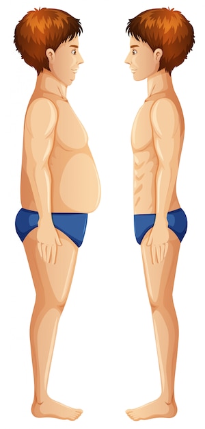 Free vector human body fat and slim