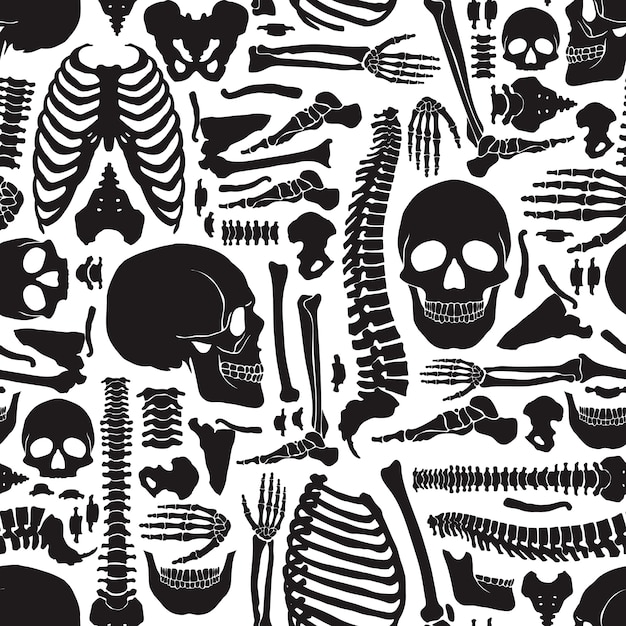 Human Bones Skeleton Pattern