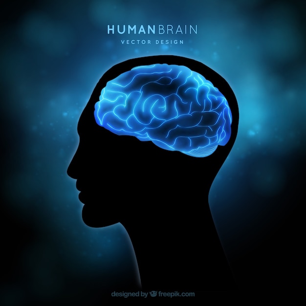 Human brain on a blue background