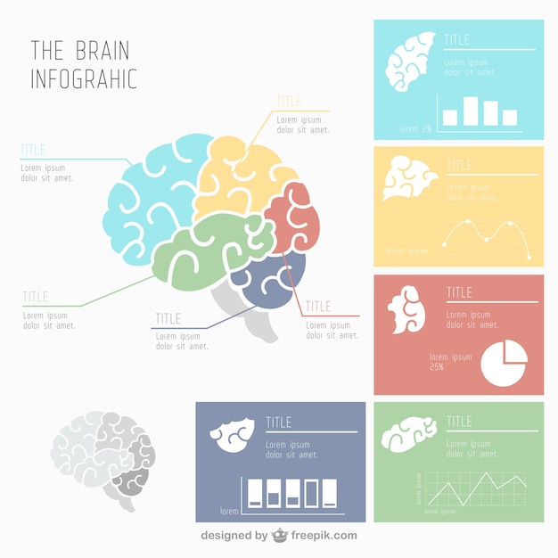 Free Vector human brain infographic with several charts