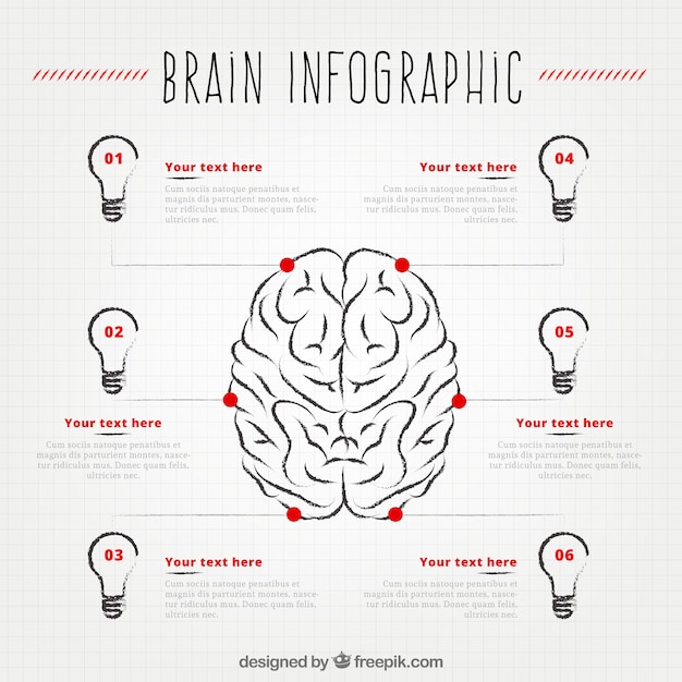 Infografica del cervello umano con sei lampadine