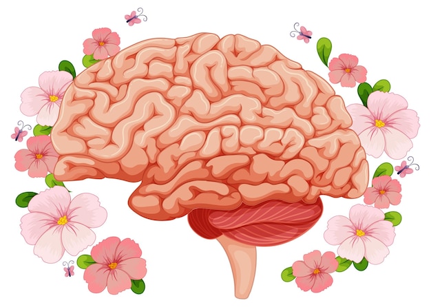 Vettore gratuito cervello umano con fiori rosa intorno