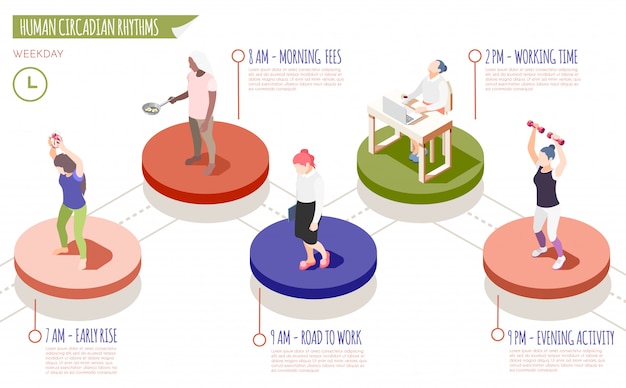 Free vector human circadian rhythms isometric infographics with early rise morning fees road to work working time and evening activity descriptions  illustration