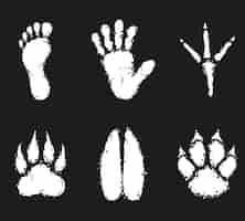 Free vector human foot print and animal footprint